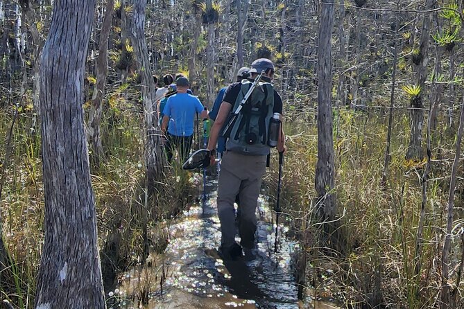 Full Day Everglades: Biologist Led WET Walk + 2 Boat Trips + Lunch Small Group - Tour Details