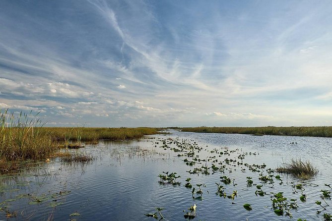 Full Day Everglades: Biologist Led WET Walk + 2 Boat Trips + Lunch Small Group - Boat Trips and Airboat Ride