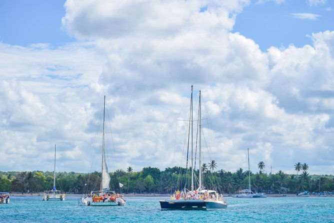 Full-Day Excursion in Saona Island - Food and Beverage Options