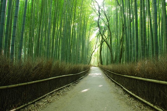 Full Day Excursion: Kyoto and Nara Highlights From Kyoto/Osaka - Optional Lunch Upgrade