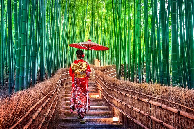 Full Day Excursion: Kyoto and Nara Highlights From Kyoto/Osaka - Additional Information and Recommendations