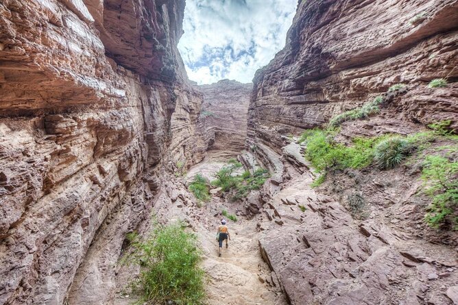Full Day Excursion to Cafayate From Salta - Key Points