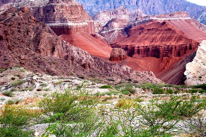 Full Day Excursion to Cafayate From Salta - Inclusions and Pickup