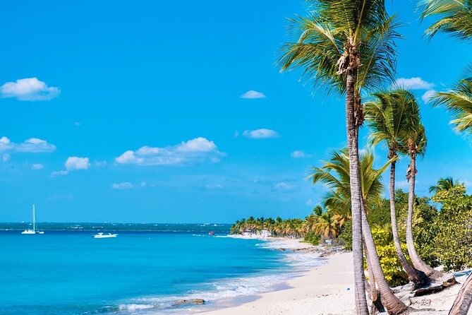 Full Day Excursion to Catalina Island From Bavaro / Punta Cana. - Departure and Return Times