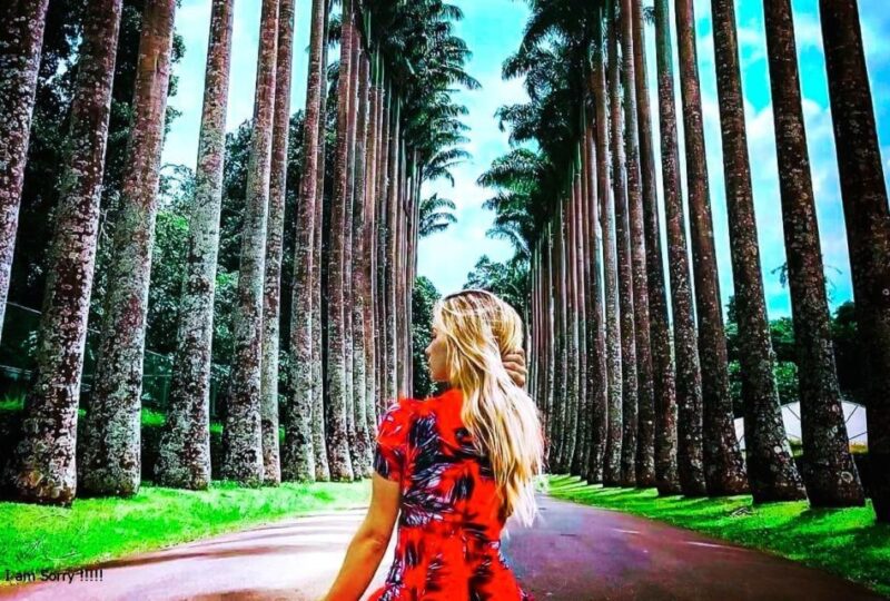Full Day Excursion to Kandy & Pinnawala From Colombo/Negombo - Itinerary Highlights