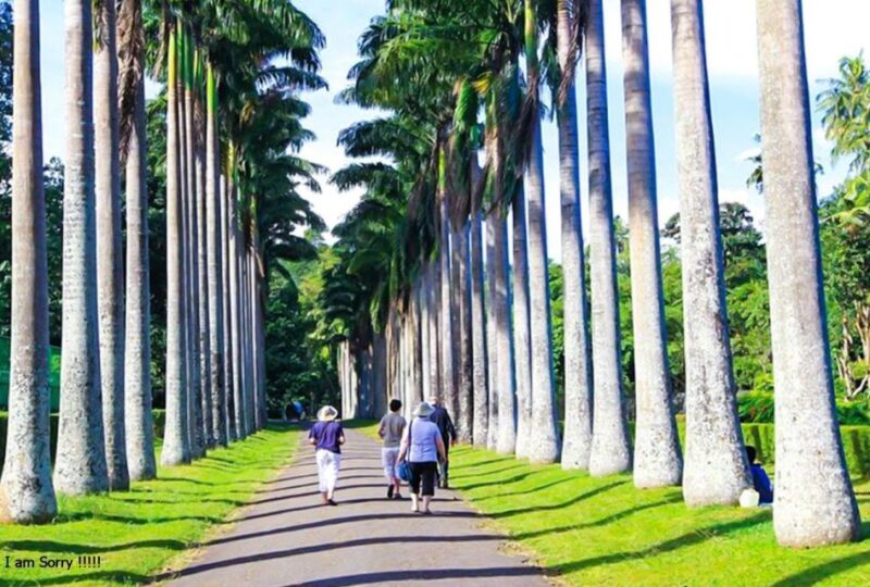 Full Day Excursion to Kandy & Pinnawala From Colombo/Negombo - Transportation and Pickup Details