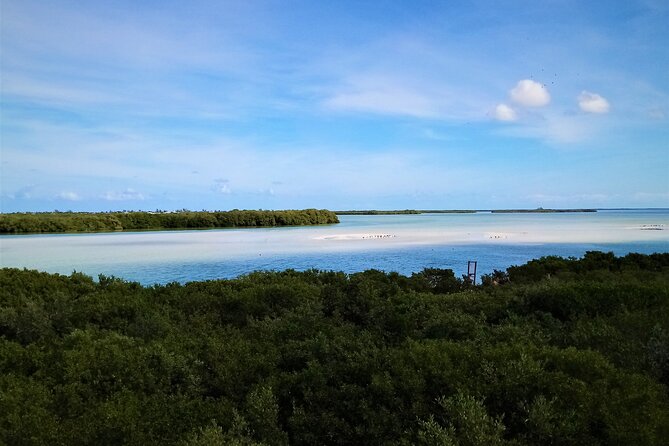 Full Day Excursion to the Best of Holbox From Cancun - Getting to Holbox Island