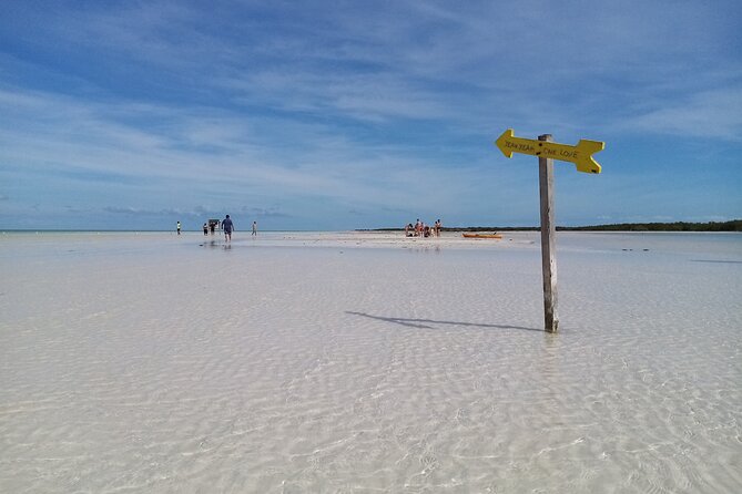 Full Day Excursion to the Best of Holbox From Riviera Maya - Health and Safety Guidelines