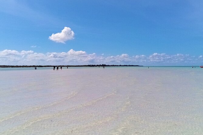 Full Day Excursion to the Best of Holbox From Riviera Maya - Customer Experiences