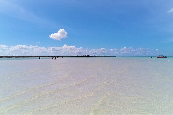 Full Day Excursion to the Best of Holbox From Riviera Maya - Exploring Punta Mosquito