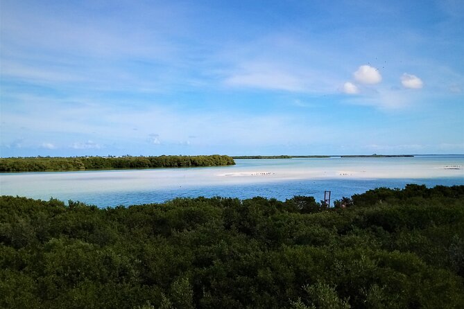 Full Day Excursion to the Best of Holbox From Riviera Maya - Indulging in Holbox Ice Cream