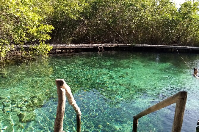 Full Day Excursion to the Best of Holbox From Riviera Maya - Memorable Moments on the Tour