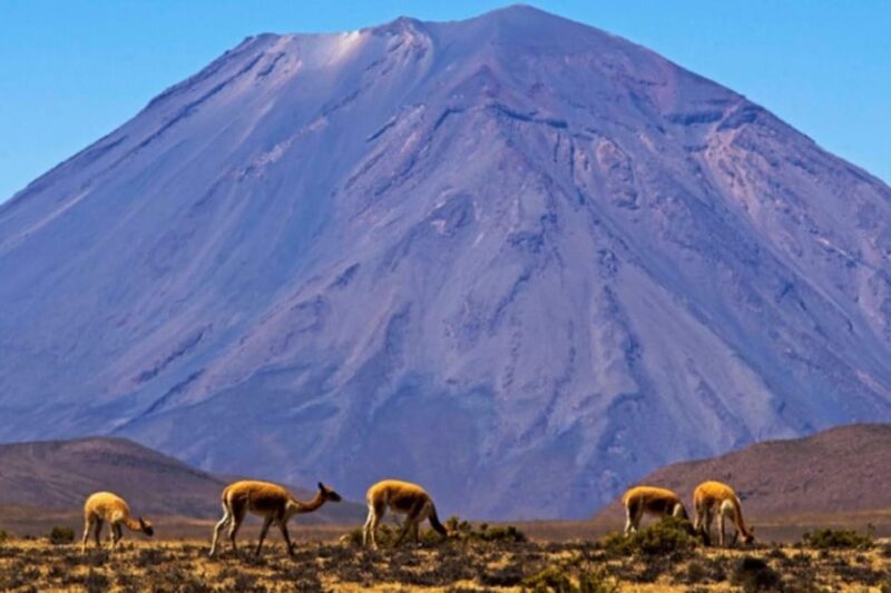 Full Day Excursion to the Salinas Lagoon Arequipa - Itinerary Details