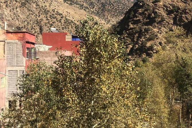 Full Day Excursion Tour to Ourika Valley - Tour Details