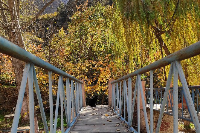 Full Day Excursion Tour to Ourika Valley - Accessibility