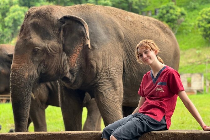 Full Day Experience at Ran-Tong Save & Rescue Elephant Centre - Tour Details