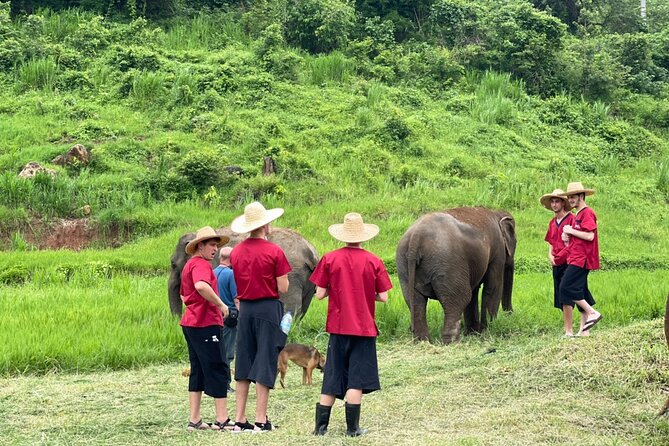 Full Day Experience at Ran-Tong Save & Rescue Elephant Centre - Booking Information