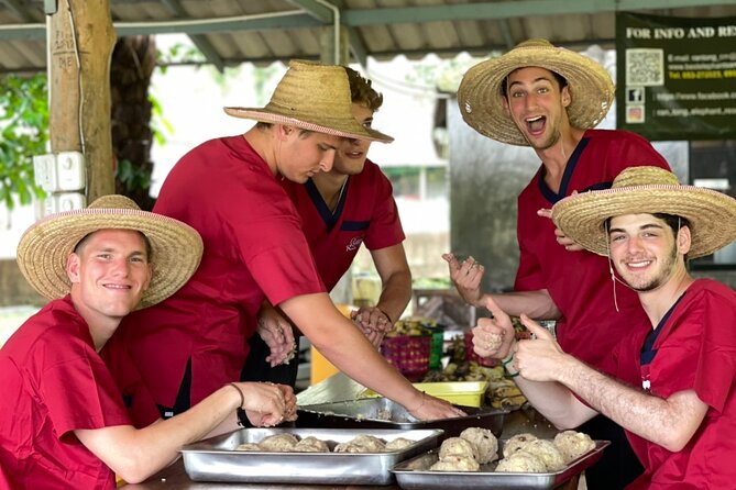 Full Day Experience at Ran-Tong Save & Rescue Elephant Centre - Participant Requirements