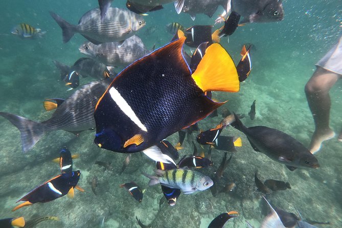 Full-Day Experience in Banderas Bay - Meeting Point and Schedule
