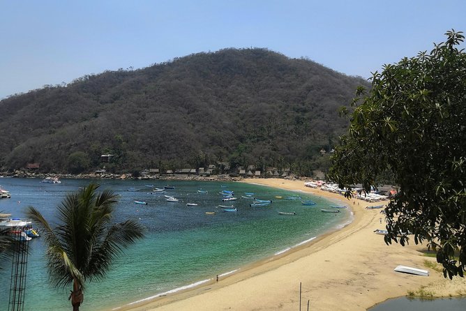 Full-Day Experience in Banderas Bay - Confirmation and Accessibility