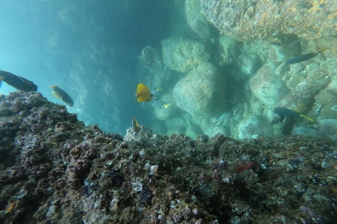 Full-Day Experience in Banderas Bay - Activity Highlights