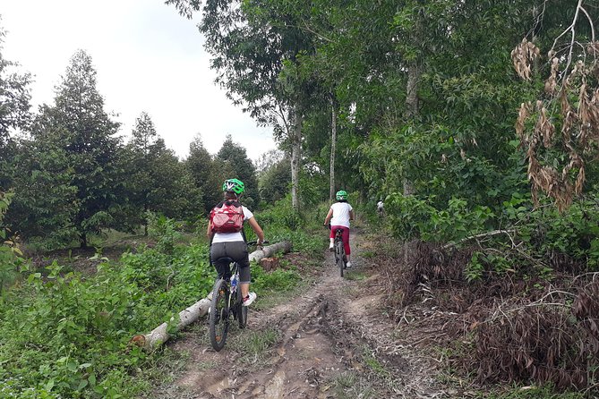 Full Day Experience Mekong Delta By Bike, Boat and Kayak. - Exploring the Cai Be Floating Market