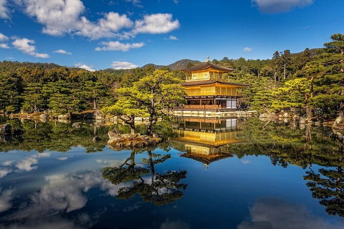 Full Day Experience Osaka Like a Local Private Tour - Personalized Itinerary and Flexible Scheduling