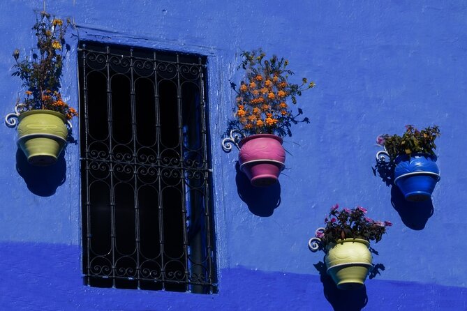 Full Day Experience to Chefchaouen From Fez With Local Expert - Inclusions and Exclusions