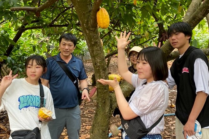 Full Day Experience to Farm and Chocolate - Positive Visitor Feedback and Ratings