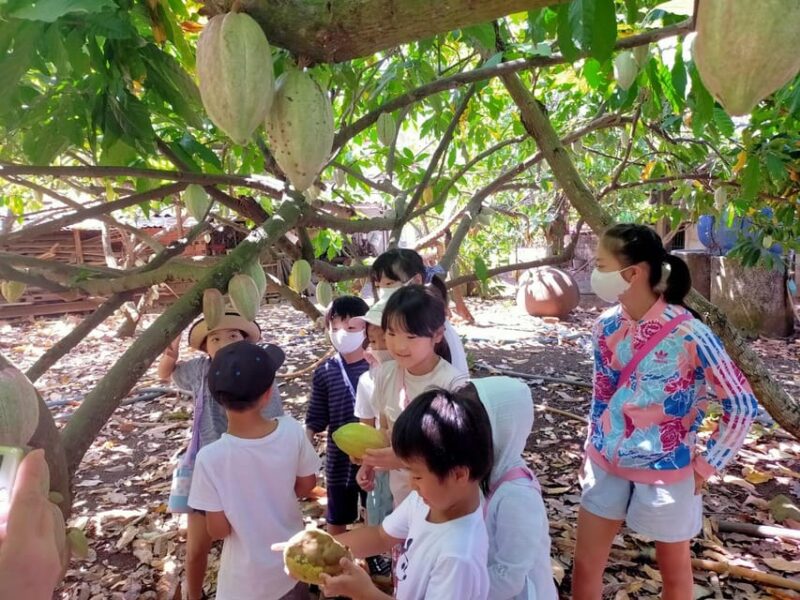 Full Day Experience to Farm and Chocolate - Dining and Shopping Options