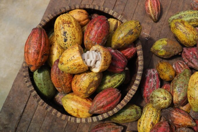 Full Day Experience to Farm and Chocolate - Starting Location and Travel