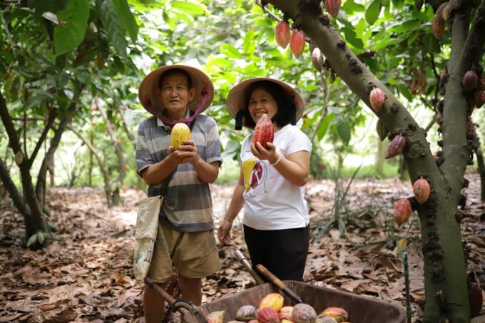 Full Day Experience to Farm and Chocolate - Guided Tour at Binon Cacao Park