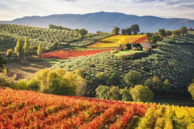 Full Day Experience | Umbria Wine Tasting and SPA Relax - Past Traveler Reviews