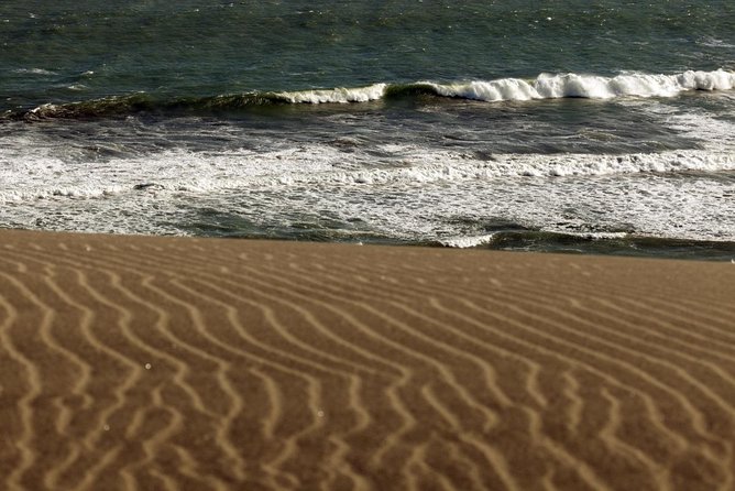 Full Day Explore Sigatoka Tour-Kula Eco Park,Sand Dunes,Fijian Village&Shopping - Key Points