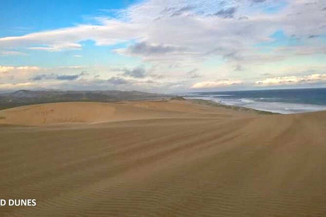 Full Day Explore Sigatoka Tour-Kula Eco Park,Sand Dunes,Fijian Village&Shopping - Kula Eco Park Entrance Fee