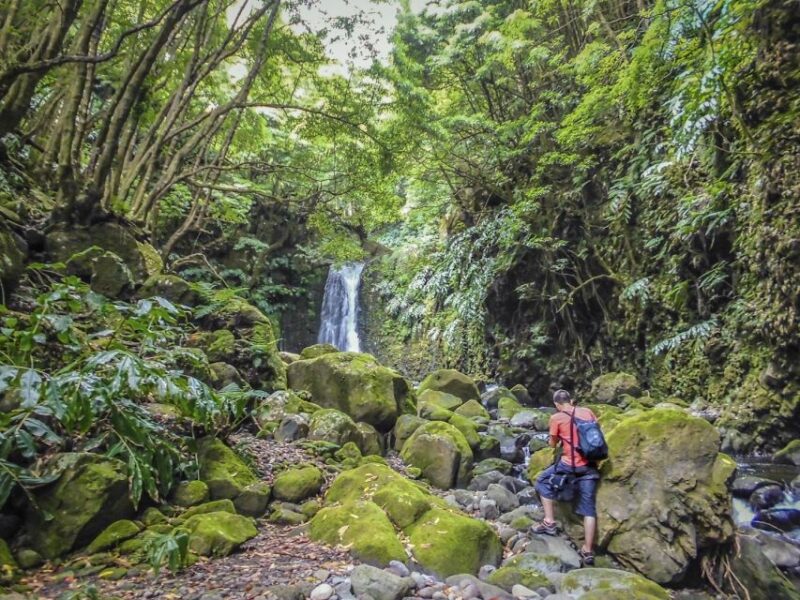 Full-Day Faial Da Terra + Nordeste From Ponta Delgada - Key Points