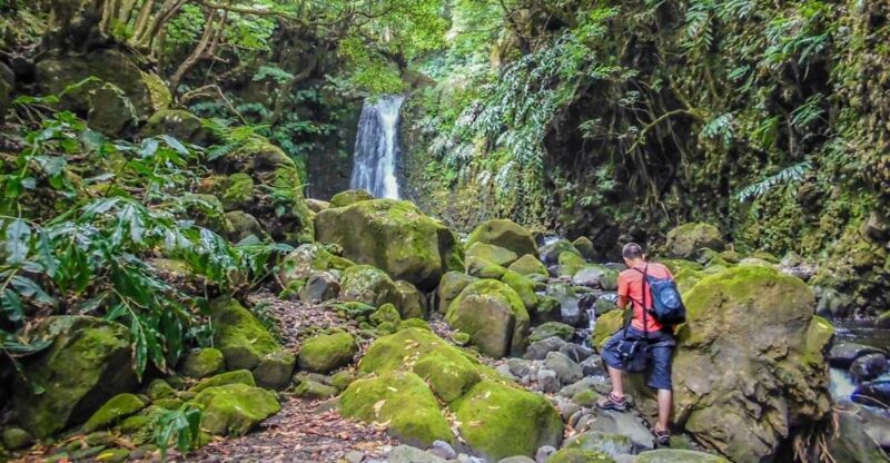 Full-Day Faial Da Terra + Nordeste From Ponta Delgada - Itinerary Highlights