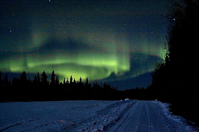 Full Day Fairbanks to Denali Winter Adventure Tour - Highlights of the Tour Experience