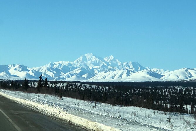 Full Day Fairbanks to Denali Winter Adventure Tour - Personal Touches and Hospitality
