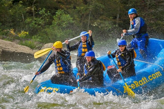 Full Day Fall Lower Gauley Rafting in West Virginia - The Gauley River Experience