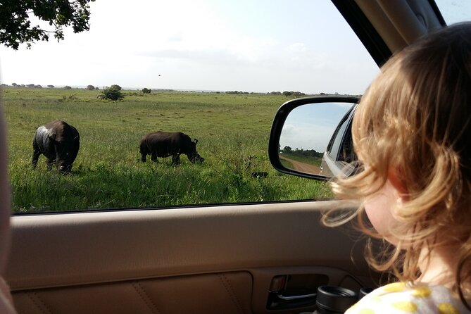 Full-Day Family Hluhluwe Imfolozi Park Safari Experience - Pickup and Dropoff