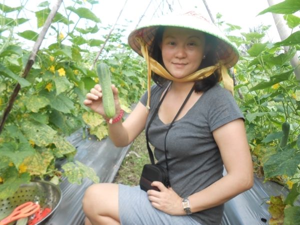 Full-Day Farming & Cooking Class at Agricultural Village - Key Points