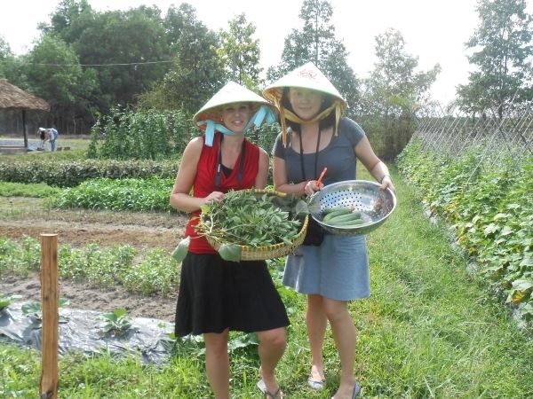 Full-Day Farming & Cooking Class at Agricultural Village - Picking Fresh Ingredients