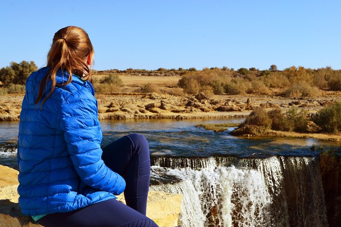 Full-Day Fayoum Oasis Private Tour From Cairo or Giza - Tour Accessibility