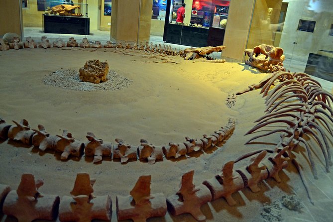 Full-Day Fayoum Oasis Private Tour From Cairo or Giza - Booking Flexibility