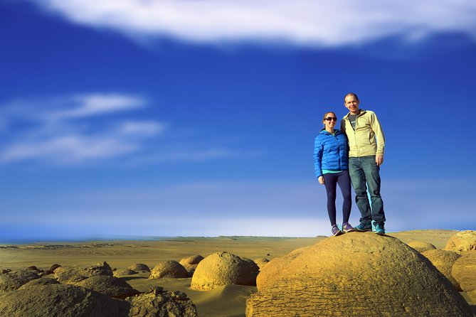 Full-Day Fayoum Oasis Private Tour From Cairo or Giza - Pricing and Payments