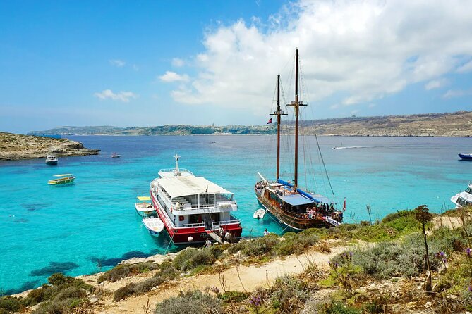 Full Day Fernandes Cruise With Lunch - Key Points