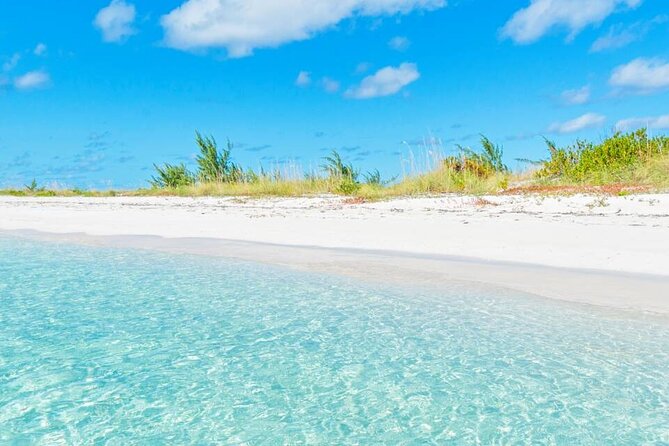 Full Day Fishing, Snorkeling, Iguana Island, Cruising, BBQ - About Your Stay