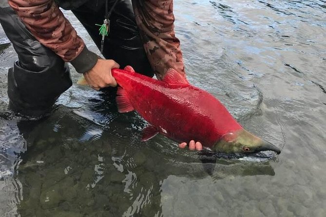 Full Day Fishing Trips - Guide Expertise and Praise