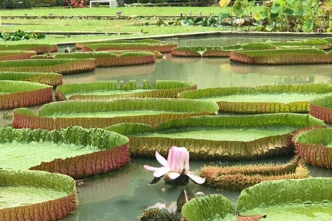 Full Day Flexi Private Tour in Penang Island with Pickup - FAQs